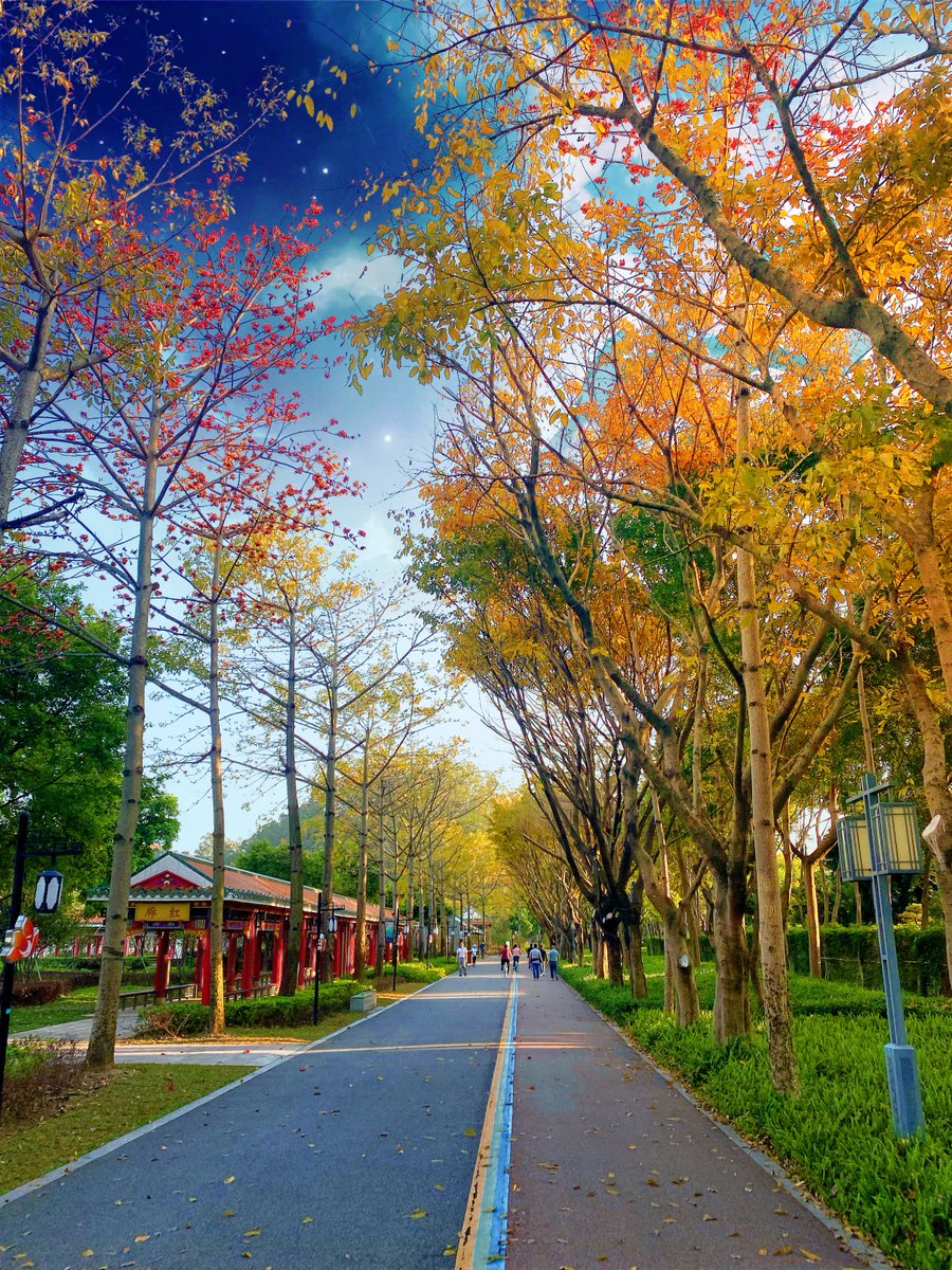 FSzhaojie's tweet photo. 美景，从来不缺，缺的是发现者！ https://t.co/ZtY6cR6Mnl