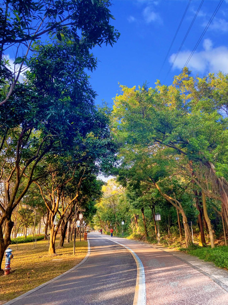 FSzhaojie's tweet photo. 美景，从来不缺，缺的是发现者！ https://t.co/ZtY6cR6Mnl