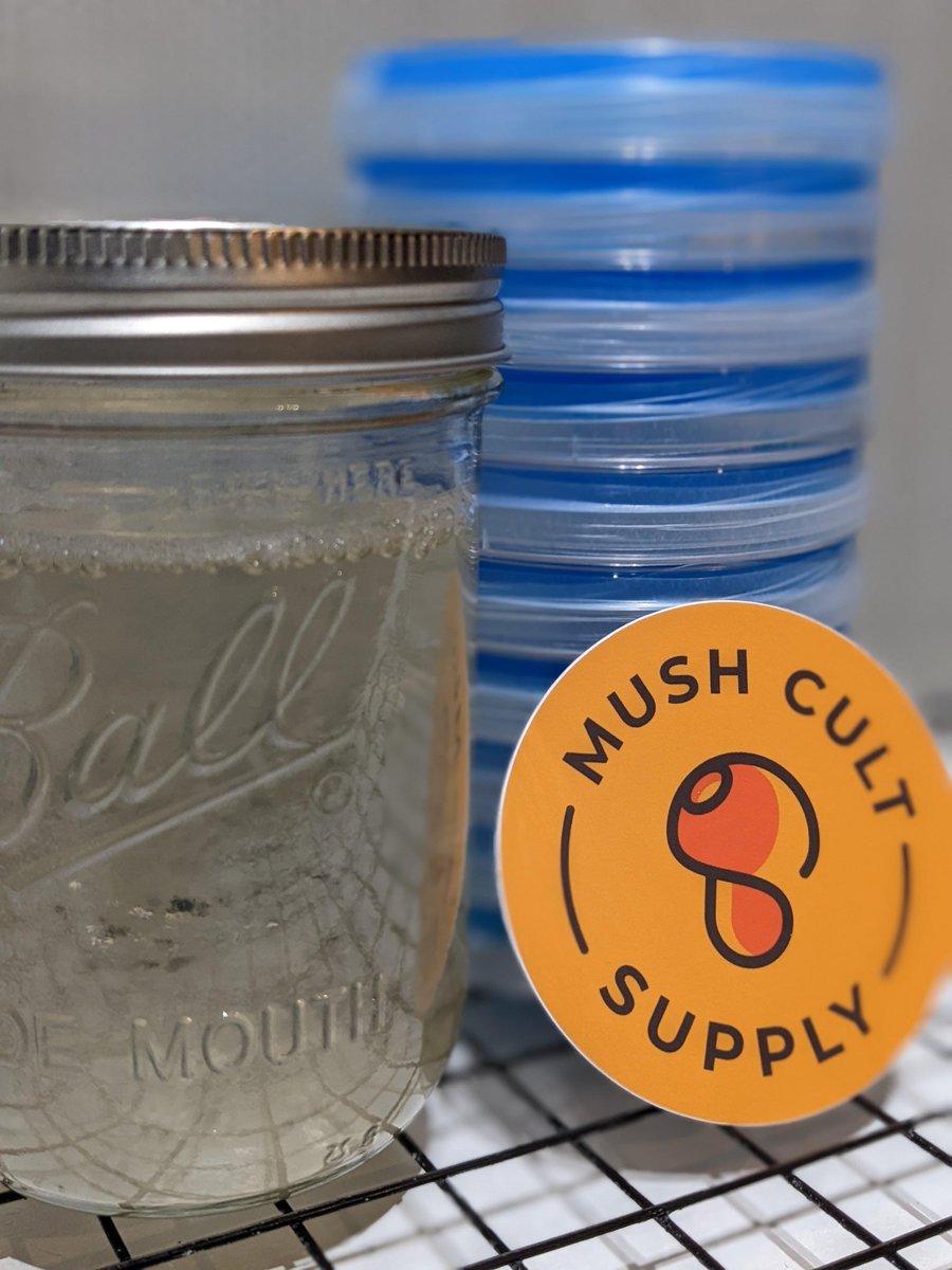 MushCult's tweet photo. Culture Kit also comes with blue PDA or PDYA. https://t.co/rVIQKZ3d5B