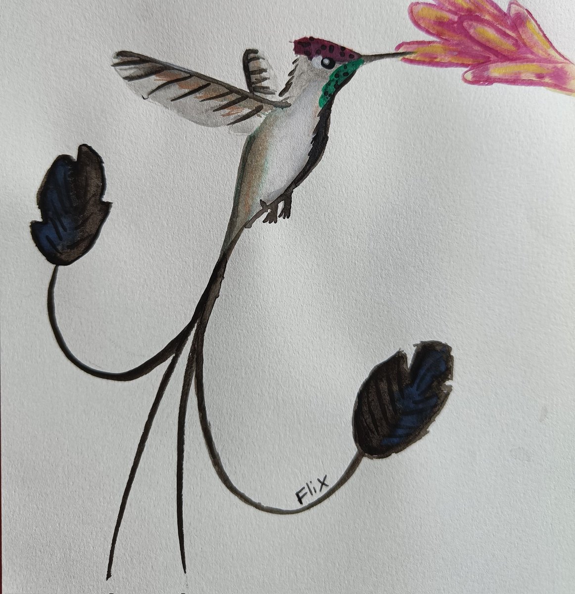 Birbfest 29: Spatuletail Hummingbird

instagram.com/p/Ca3DfqMtrmH/…
#Watercolour #art #BirdTwitter