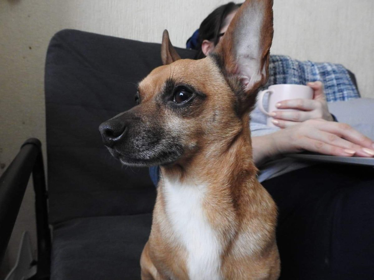 🌸Polly Put The Kettle on🌸 tweet media