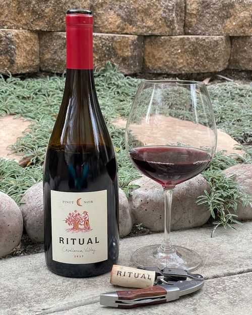 FWMCan's tweet photo. The Ritual Pinot Noir 2018 is from Casablanca Valley, Aconcagua, Chile. This wine has 354 mentions of red fruit notes (93pt @james.suckling)🍷
Now available @lcbo VINTAGES: https://t.co/YzhAkWCfaA
#Veramonte #livingsoils #pinotnoir #chile https://t.co/YHZKArCJ4X