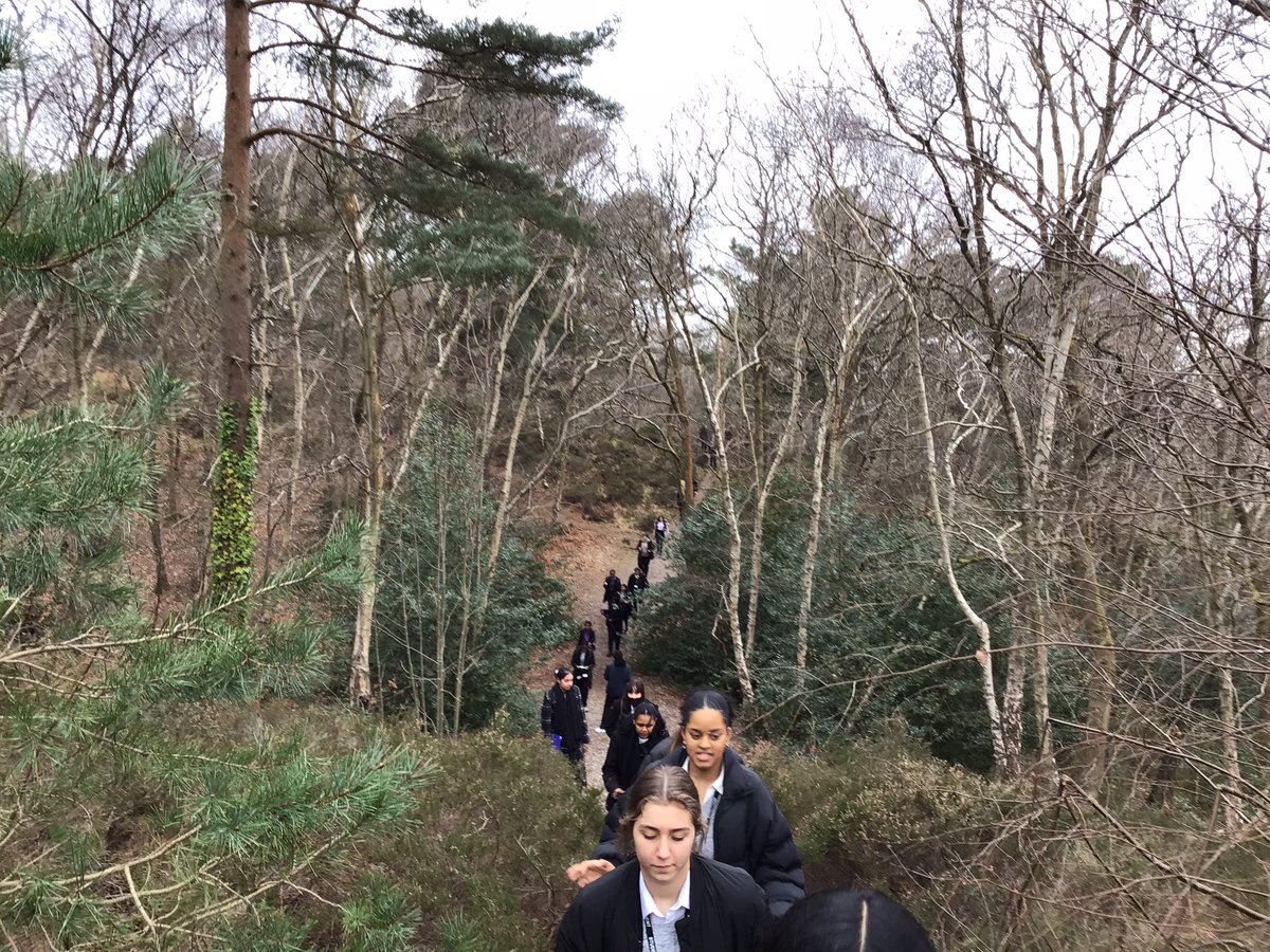colomasport's tweet photo. Fabulous walk around Shirley Hills today with Year 12 for their games lesson as part of Coloma’s part in the #WalkAgainstHunger!
They all had a great time walking 3.5km up to the great views at the viewpoint. 400km closer to our target of 10,000 by the end of Lent! 👣💙 https://t.co/4O1ccCRVLy