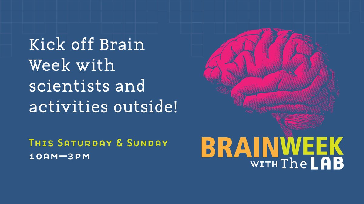 Dr. Joyce Besheer tweet media