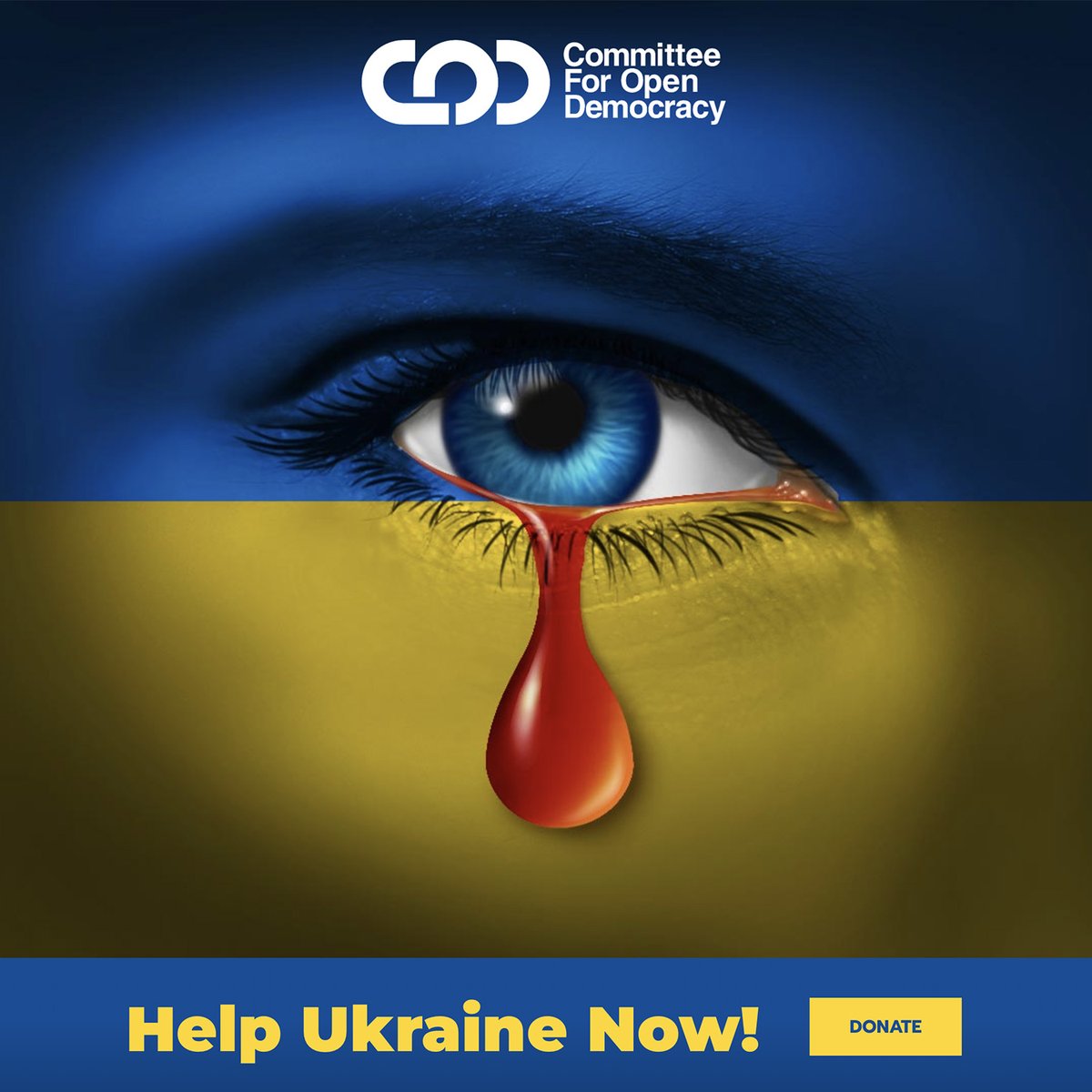 wearealder_'s tweet photo. HELP UKRAINE: Members of Alder are on the ground helping (driving eastward into the chaos, while cars are all headed west) to provide families with medical supplies and support relief efforts - https://t.co/uuefaH6O0n #ukraine https://t.co/3ZdGAL1olk