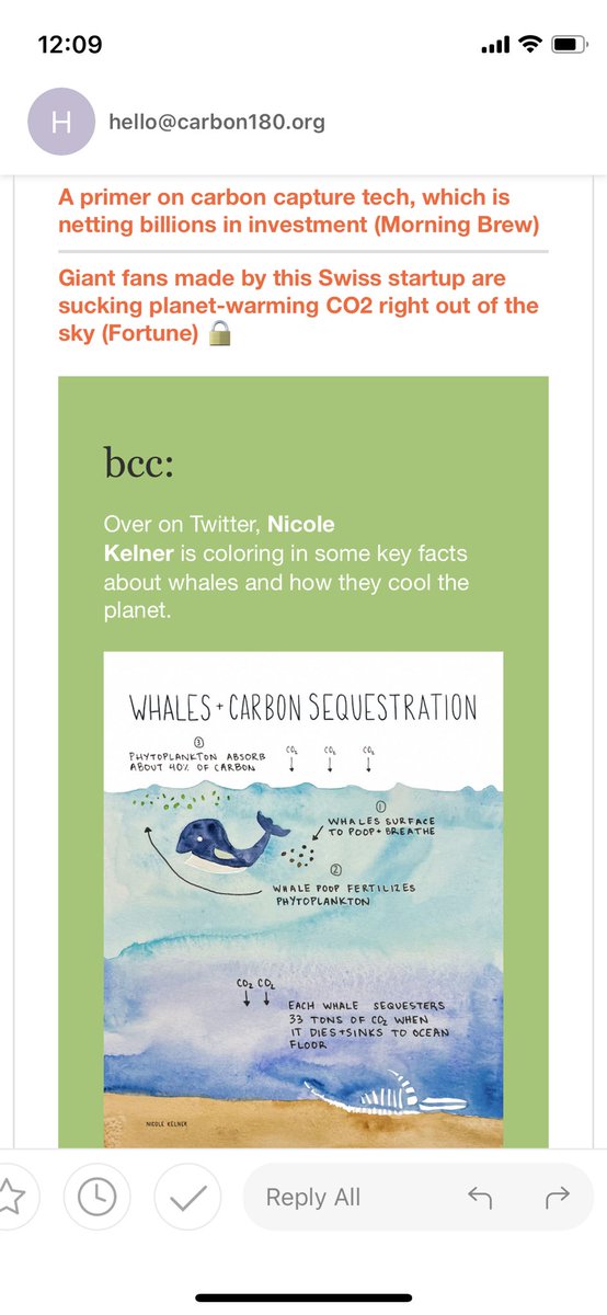 NicoleKelner's tweet photo. Ah! So cool to be in the @carbon_180 newsletter today, what a fun surprise! https://t.co/jRSqPkCiQ1