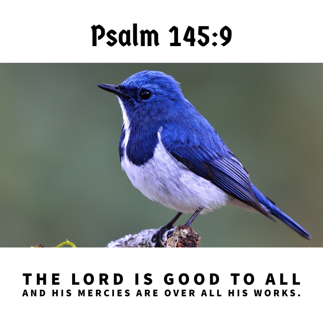 The Christian Brethren Church tweet media
