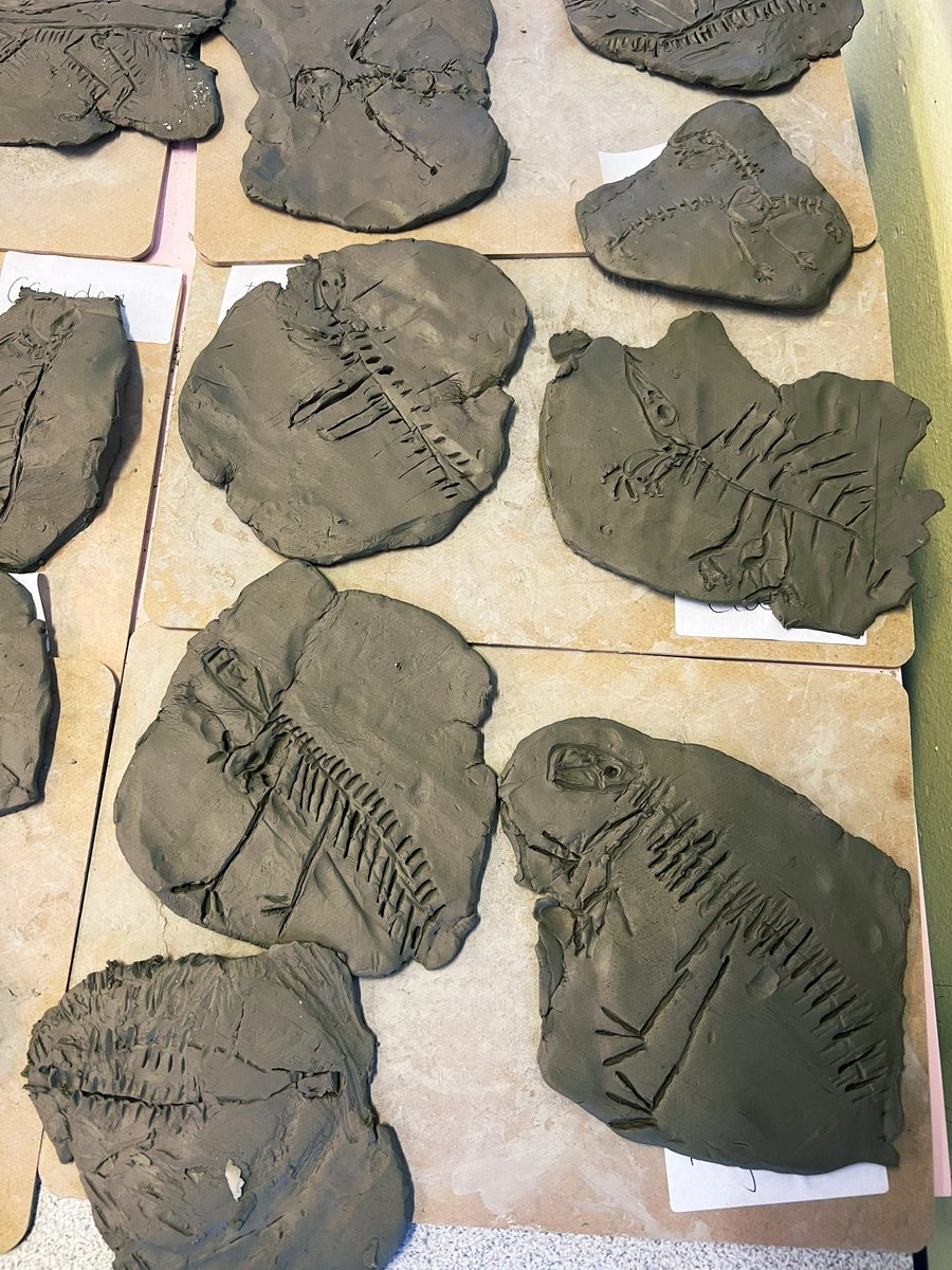 miss_bradfield's tweet photo. I am super proud of my class today! They worked incredibly hard to make their own dinosaur fossils. Aren’t they amazing?!😱🌟 @PelhamPrimary_ @trustilluminate #dinosaurs #edutwitter #education #primaryschool https://t.co/Q1rFiOcSZT
