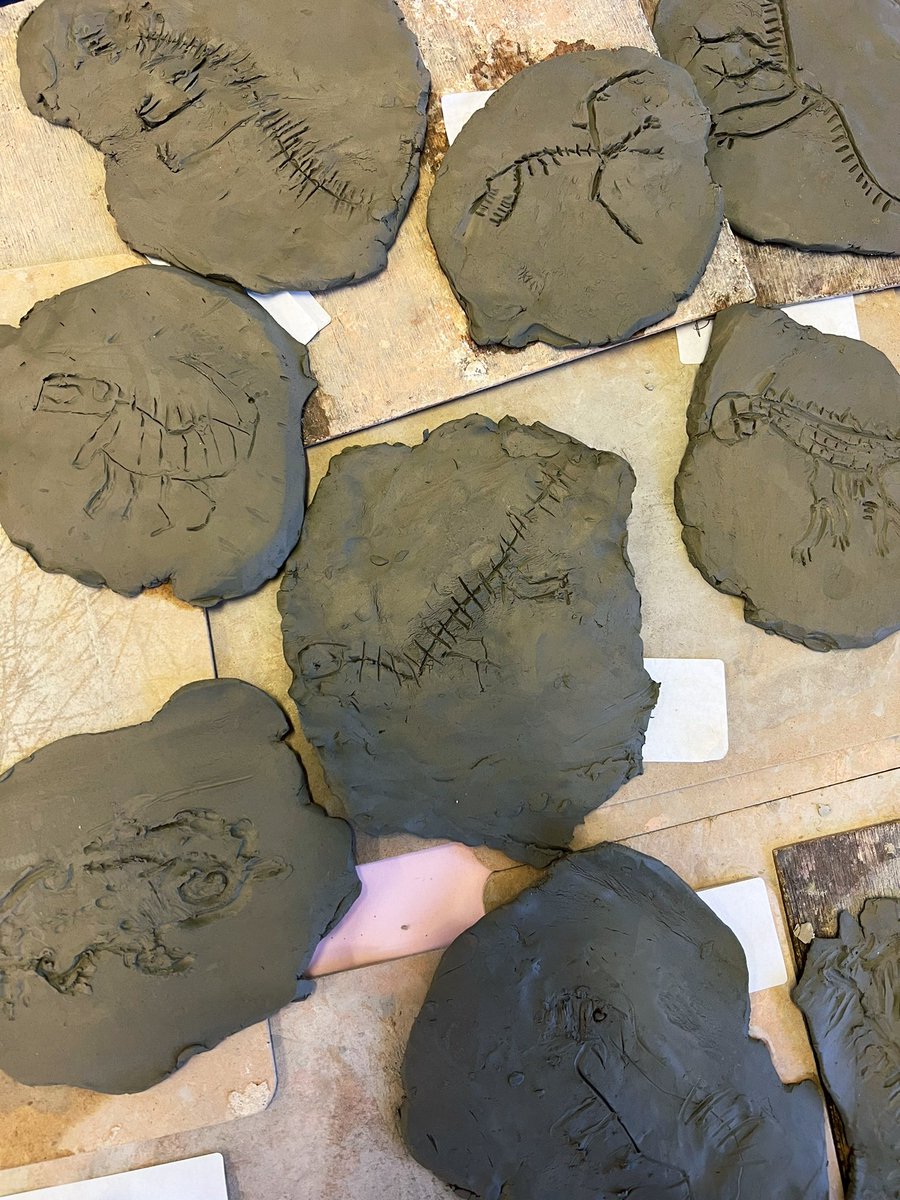 miss_bradfield's tweet photo. I am super proud of my class today! They worked incredibly hard to make their own dinosaur fossils. Aren’t they amazing?!😱🌟 @PelhamPrimary_ @trustilluminate #dinosaurs #edutwitter #education #primaryschool https://t.co/Q1rFiOcSZT