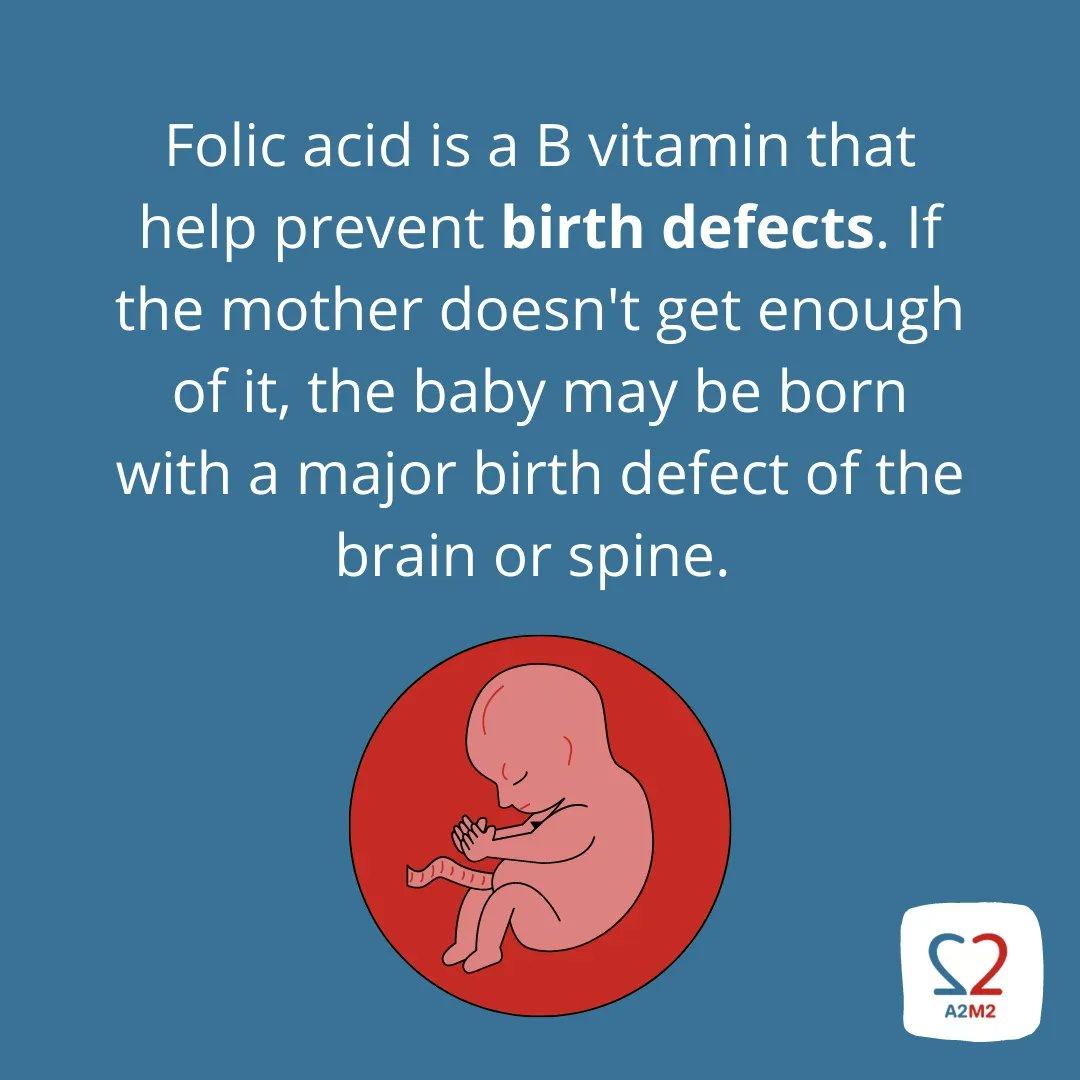 A2M2Global's tweet photo. Facts about folic acid. #maternalmortality #endmaternalmortality #folicacid #international #global #a2m2 #a2m2global https://t.co/KrTktlcKit