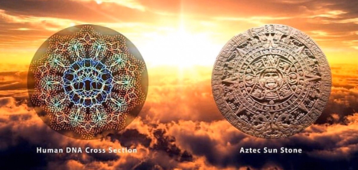 iluminatibot's tweet image. 