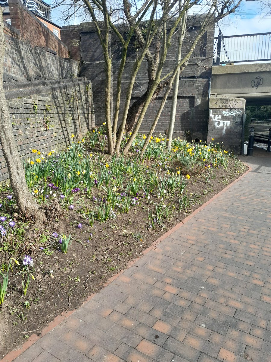 NathanCRT4's tweet photo. It was great to get out with the Wild in Birmingham volunteers we have! Great to see there hard work paying off with the colour showing in the middle of the city! Also the sign was put in place for Albert Rooke's memorial garden! @CRTWestMidlands @CRTnotices @CRTvolunteers https://t.co/PSO0Q2huwW