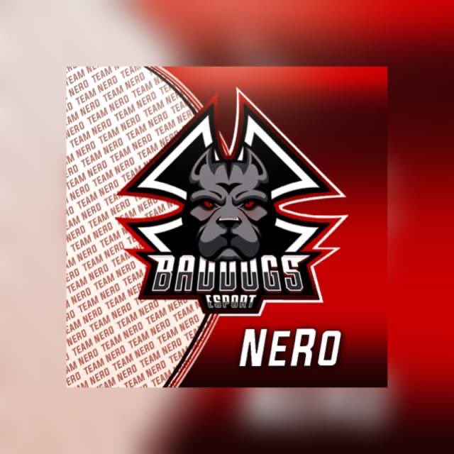 derJXLZ's tweet photo. Joined @BaddogsE Team NeRo https://t.co/n6ogHohEhH