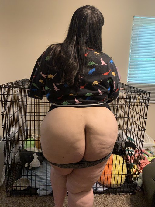 Happy hump day 🤤 https://t.co/SxrY5H7t57<a href="/tag/mvsales"class="tags"><span>#mvsales</span></a>