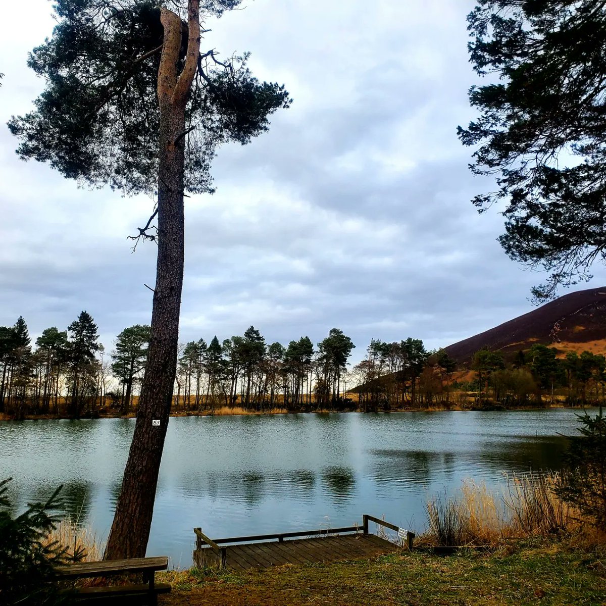 blonde_on_bikes's tweet photo. Windy walk on one of my favesπ #eildonhills #eildonpaths #scottishborders #Bowdenloch #windywednesday #walkingtrails #lovewhereyoulive https://t.co/qV5ljIT5Js