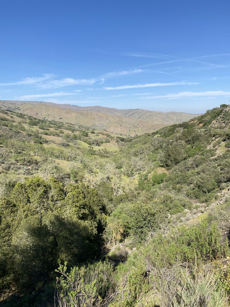 JoeDelBosque's tweet photo. California Coast Range at its best in the spring. Wish the rains hadn’t stopped. #CAdrought #California #CaliforniaPoppies #CaliforniaStateFlower #CaliforniaCoastRange #PachecoPass https://t.co/h33ZcSmsHl