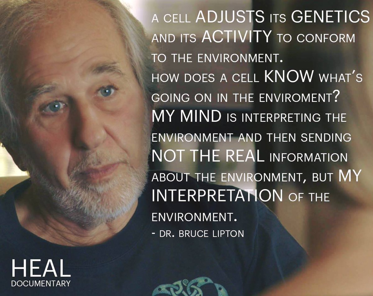 biologyofbelief's tweet photo. What are your perceptions? 
#WednesdayWallpaper #WisdomWednesday  #brucelipton #sciencespirit #epigenetics #environment #perception #yourcells #genetics
 https://t.co/xv2nISdzSR https://t.co/hZZPWbT9rs