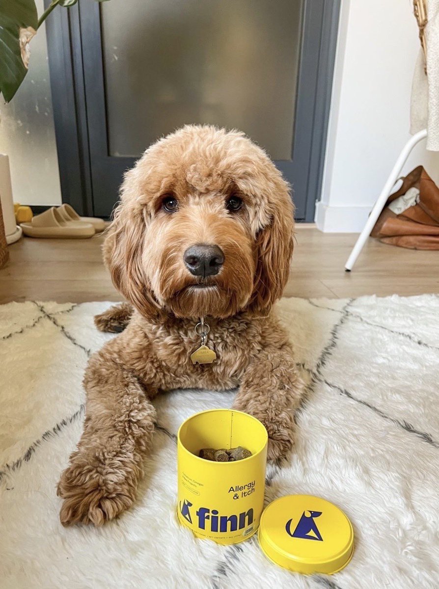 Allergy season is near 🤧 but do not fear! Our newest Allergy &amp; Itch supplement is here to help our pups ditch the itch this spring 🙌🏼🐶 

Click the link in our bio to stock up before pollen is in the air! 🌷 #FinnForTheWinn #twitterdogcommunity