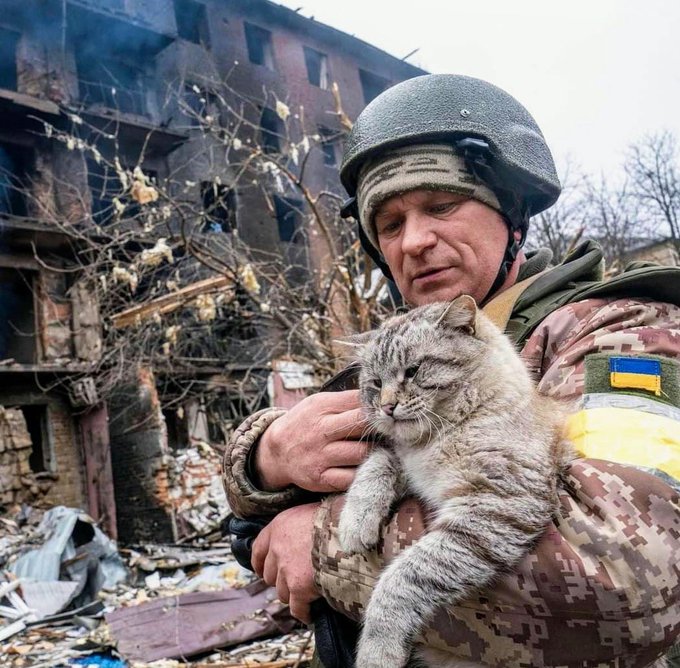 wanijeru1's tweet photo. I cried when I watched a woman drop her bags as shots came in &amp; scoop up her German Shepherd &amp; run to a bus. Such compassion for animals when all the world is falling apart around you 
#PeaceInUkraine https://t.co/PQCSyK0qKp #Hashtagger https://t.co/8OBOh4c1d8