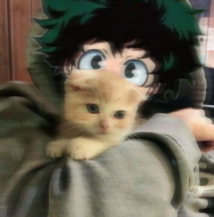 ih__104's tweet photo. بعض شخصيات أنمي اذا كانت بالواقع :
#L #itatchi #erenyeager #Armin #Deku https://t.co/MtgOt5VFEt