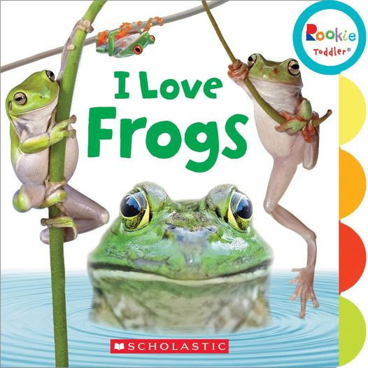 Tomorrow is toddler time at 10:00! We will be reading, I Love Frogs, along with songs and dancing. 😊