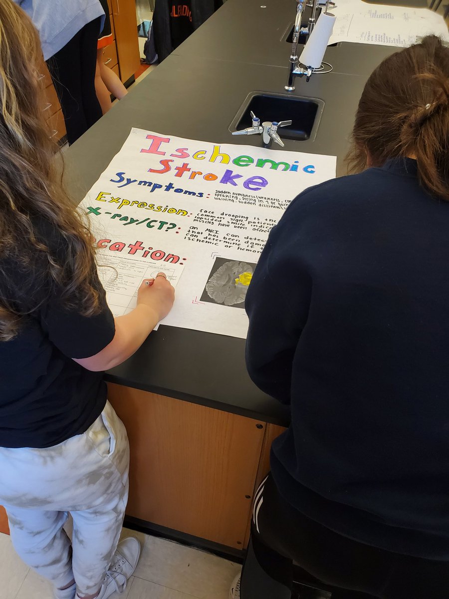 yankeeraider81's tweet photo. What would a patient look like (internally and externally) if they were in front of you with a TBI or CVA? My A&amp;P students will show you with their Clinical Performance Posters and gallery walk...designing, learning, and taking their own notes! #kkidsalwayslearning https://t.co/TvMXREHRCv