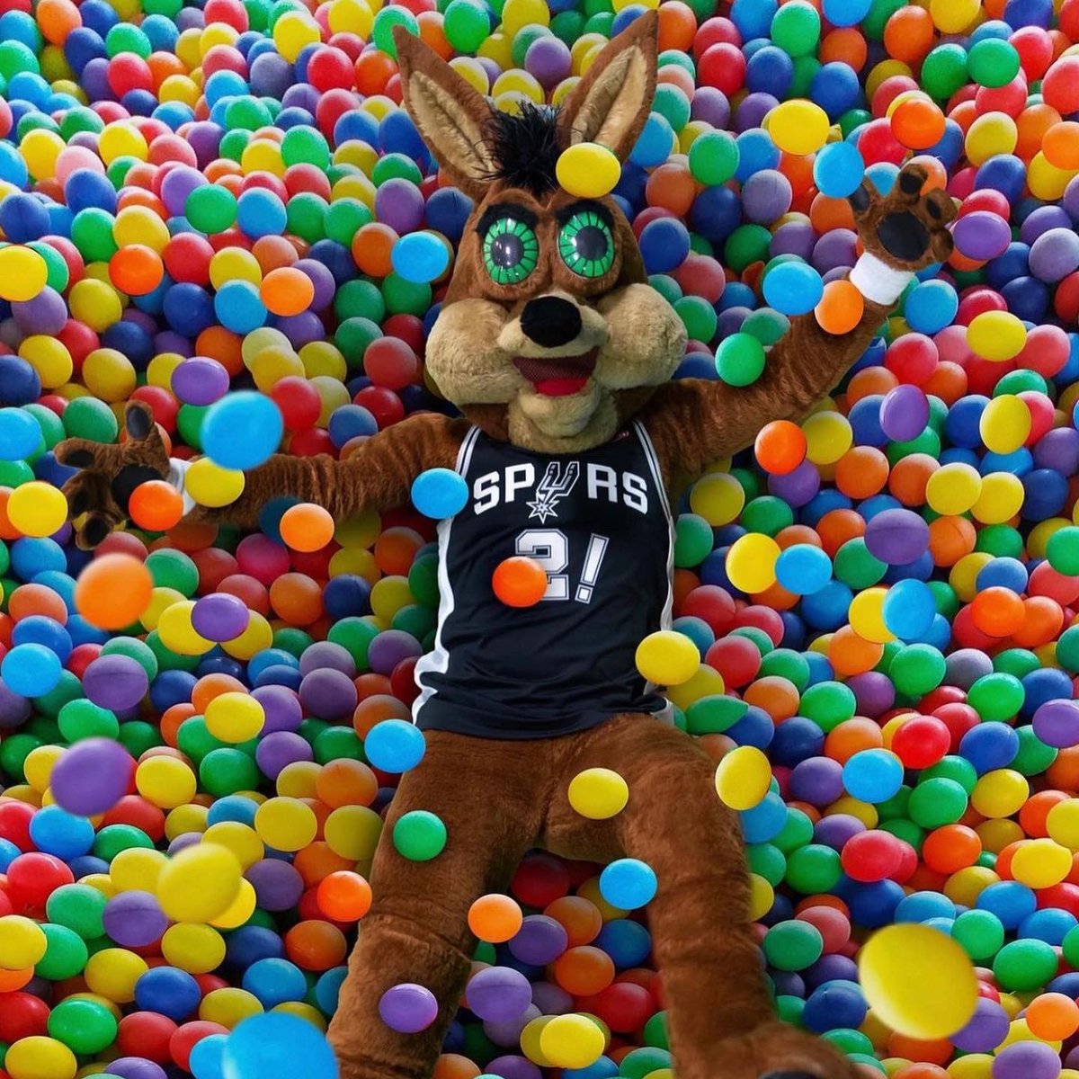 Great Day SA tweet media