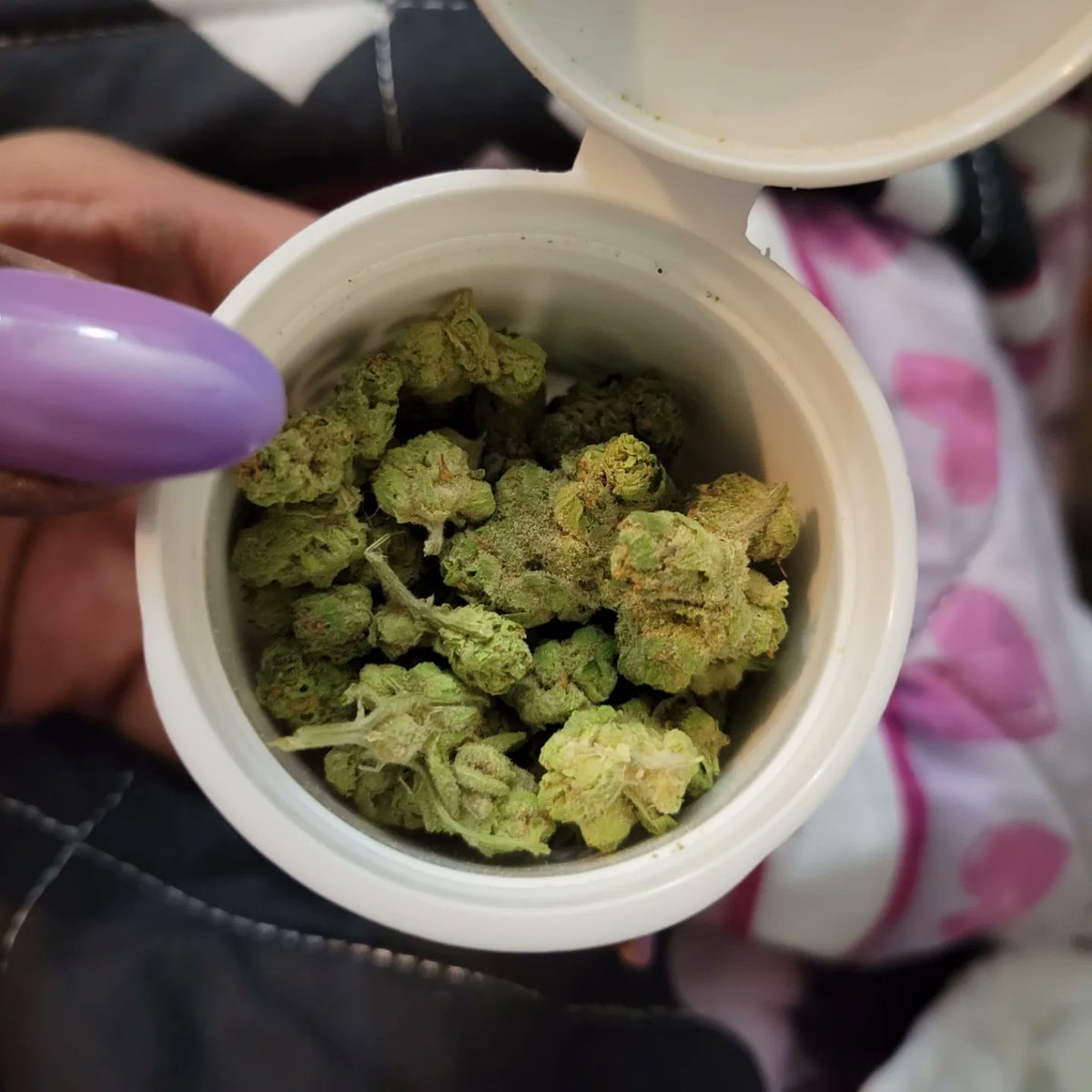 purplesmoke22's tweet photo. Small buds, big smoke😶‍🌫️✨️💚🍀💜🖤 #smoke #cannabis #buds #CannaContent https://t.co/RtUg3jvSVL