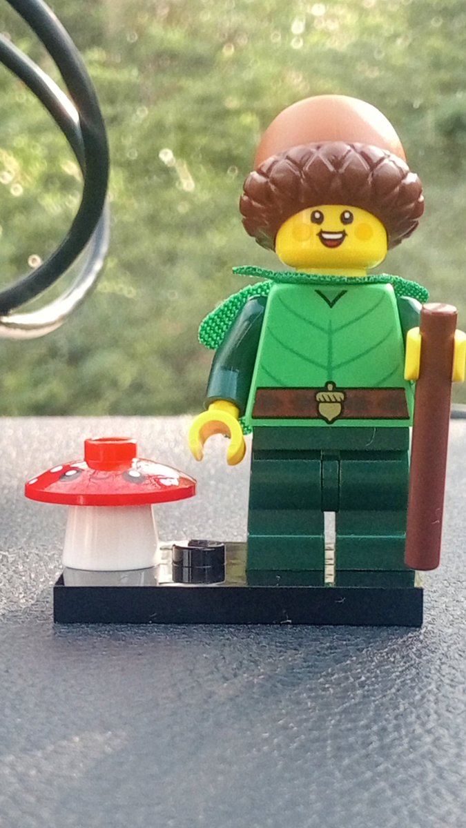 This has to be my favourite <a href="/LEGO_Group/">LEGO</a> mini figure #lego #minifigures 😸