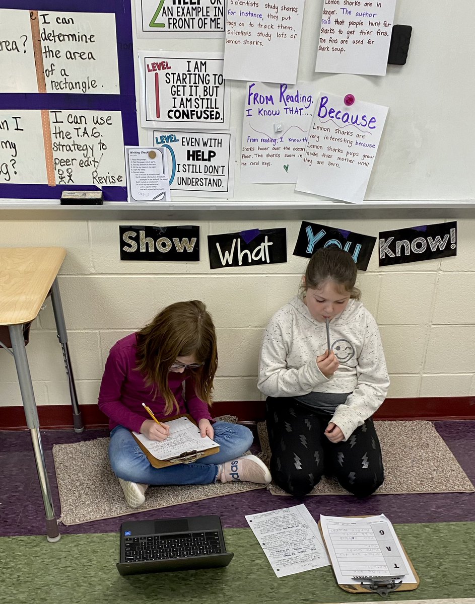 3rd graders using the TAG strategy for peer editing. Working together = cooperative learning. <a href="/MillerRdgTweets/">Miller Ridge Elementary School</a> #MiddieRising #RocketPride #Kagan