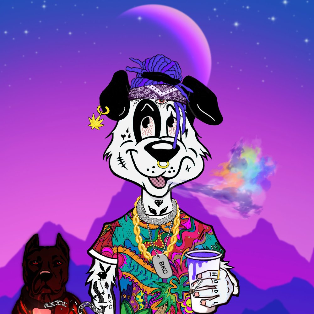 Blazed Kennel Club tweet media