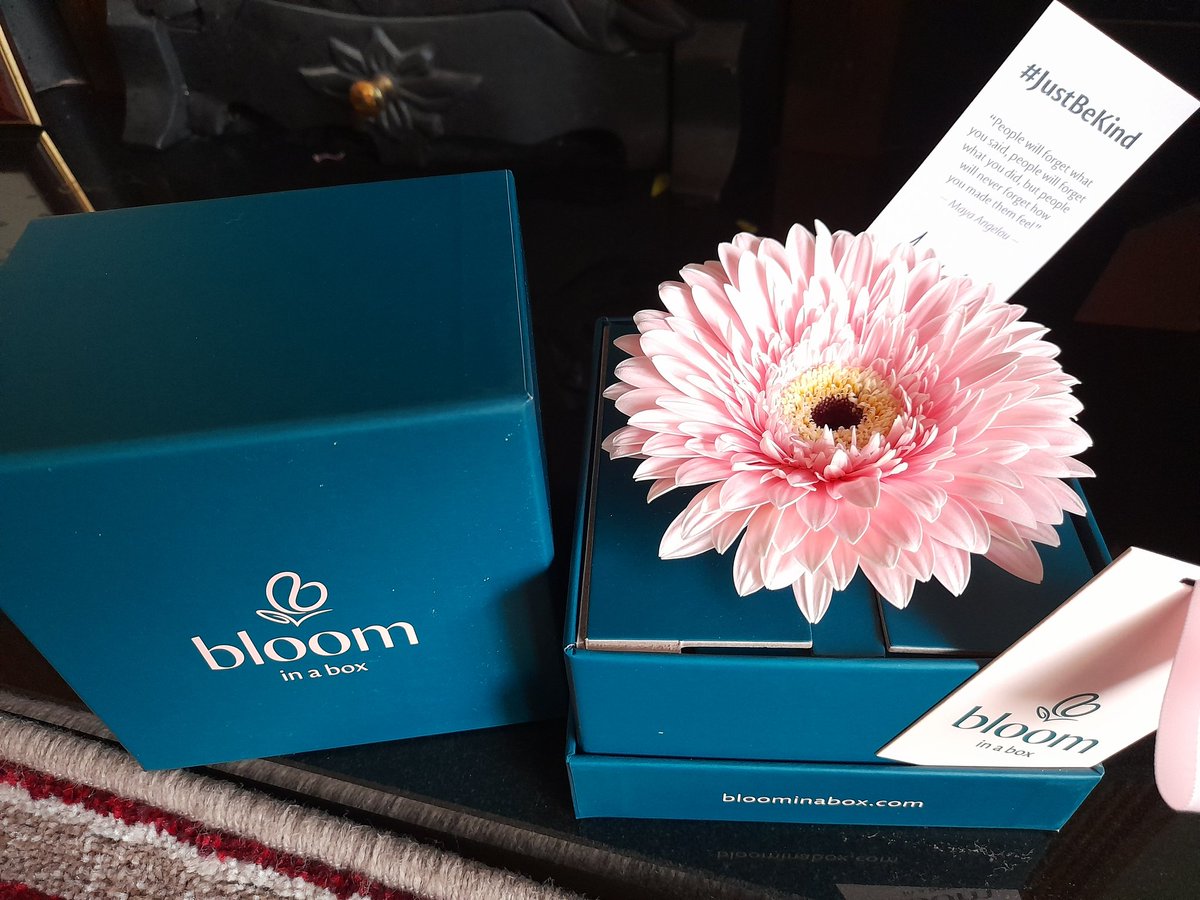 Thank You <a href="/BloomInABox/">Bloomingtoninabox</a> and Aveline for my beautiful Bloom In A Box. Arrived home to it today from @glassonlakehouse and our wonderful <a href="/NetworkIreland/">Network Magazine</a> Celebration of International Women’s Day 2022