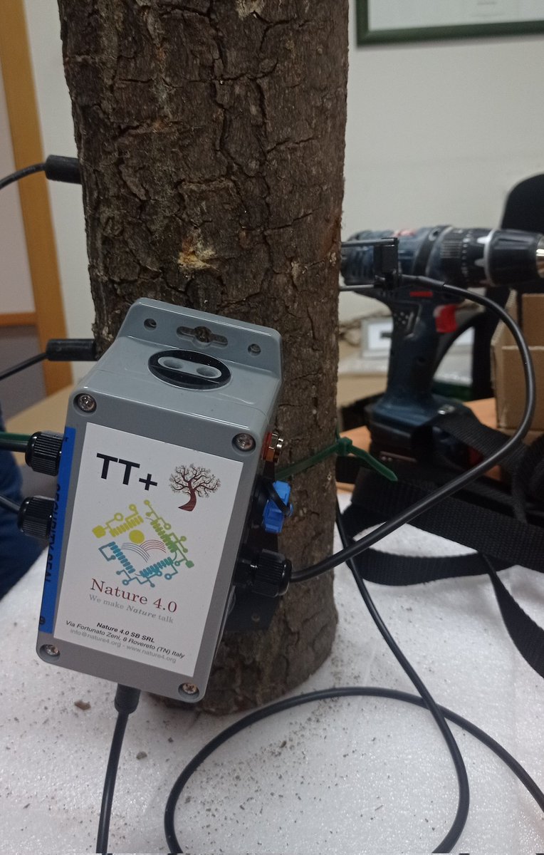 forestalesponfe's tweet photo. 📢Probando, probando...
👀 crecimiento, flujo de savia,... en tiempo real y en el móvil
#Internetofthings en nuestros bosques
#TreeTalkers, allá vamos!!🌳🌲📡🛰️
Y la próxima semana en campo👏
🤩Quieres saber más? 👇
Te lo contamos en #masterdegeoinformatica de @EIAF_ULE https://t.co/jqXjwK6JwQ