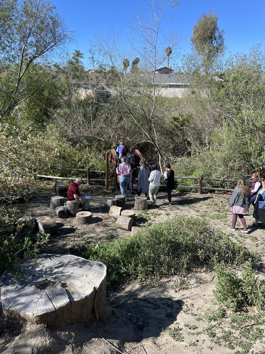 MrsArmenta7's tweet photo. Nature walk! What do you observe? Check out that leaf! @MsTCash1 @VUSDSTEM @ChienforSTEM https://t.co/4ofanewKOu