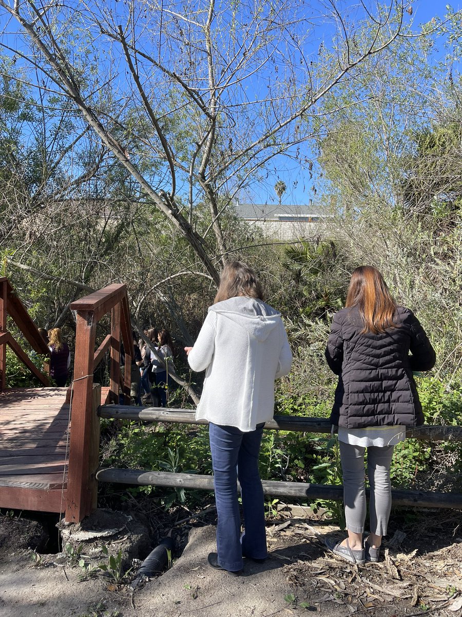 MrsArmenta7's tweet photo. Nature walk! What do you observe? Check out that leaf! @MsTCash1 @VUSDSTEM @ChienforSTEM https://t.co/4ofanewKOu