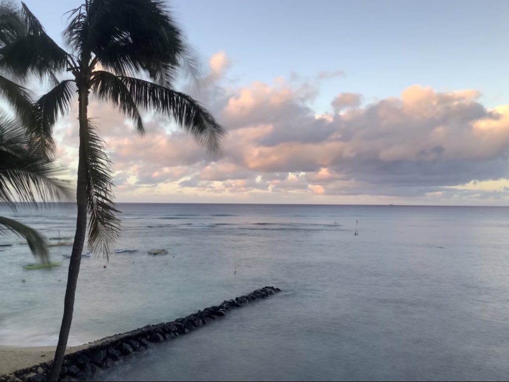 CurtisSChin's tweet photo. #USA 🇺🇸 #Hawaii #TheAlohaState 
DYK: In 1978, the Hawaii State Constitutional Convention made Hawaiian the state's official language (the only state in the U.S. with a non-English official language). https://t.co/ZYTuNfr2mq https://t.co/lXyeeSsWf5