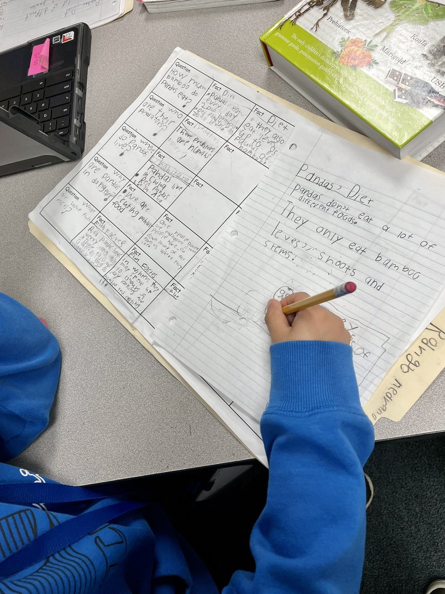 Mrs_KKerlegan's tweet photo. Our Second Grade Researchers @MRobinsonElem @ChabeCrasto https://t.co/6EE0cuBCpp