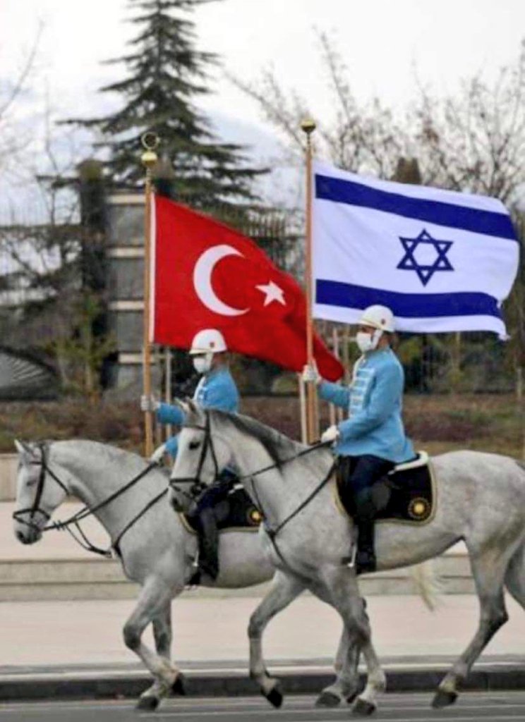Kanım dondu! 
Olmaz olamaz hazmedemiyorum!

İktidar güçlünün yanında,
Allah haklının.
"Bana Allah Yeter"…
#OneMinuteErdogan
#isgaldevamediyor
Filistin Kudüs İsrail