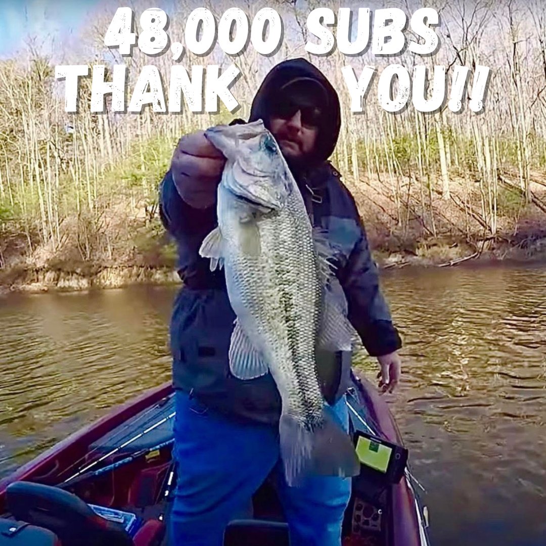 BassGeekFishing's tweet photo. The BassGeekNation grew to over 48,000 yesterday. I can't say thank you enough.
https://t.co/8DHiNUOTrG
#bassfishing #fishing #Youtube #YoutubeAngler #youtubers #bassfishingnation #fishingtips #bassfishingtips #bassgeek https://t.co/ggxnQHT5k2
