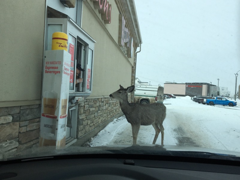 TimHortons's tweet photo. We could all use a little afternoon pick me up. https://t.co/Yvikw8VPCx