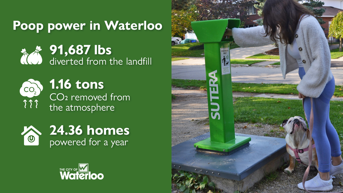 citywaterloo's tweet photo. Since 2017, local dog owners have diverted about 91,687 lbs of waste from the landfill and powered about 24.36 homes for a year. All by picking up dog poop and dropping it into a dog waste recycling container. Your dog. Your responsibility. #PoopPower https://t.co/k26MsHwKFX https://t.co/64v7FO7H3A