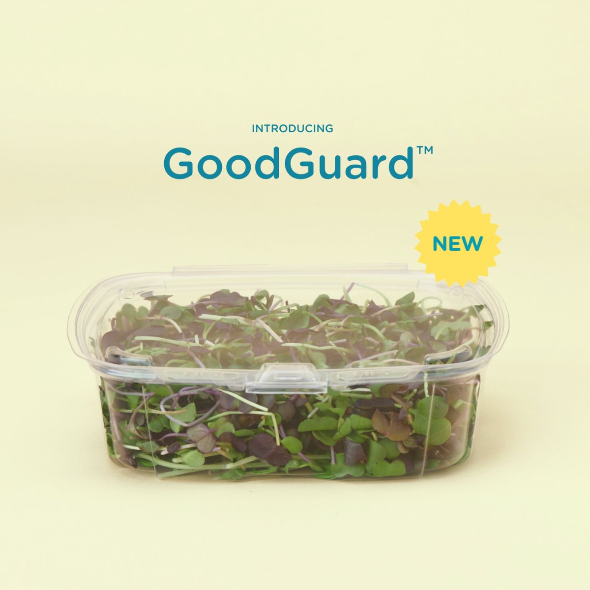 goodnatured_inc's tweet photo. US patent pending tamper evident design & compostable, say what? That's right, and we named it GoodGuard™. Sporting durable plant-based materials, leak resistance, crystal clear visibility & super stackability. 💪 #GDNP #sustainableinvesting Full rele... https://t.co/Cn77f69td3 https://t.co/yLJpsYJlEQ