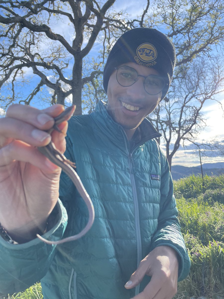 sciencewithtyus's tweet photo. Hope everyone is hanging in there and has a relatively decent day today. Here’s a little reptar boi aka western skink (Plestiodon skiltonianus) and a bright smile.

As always, stay curious! https://t.co/Ty1UwJ3Ynu