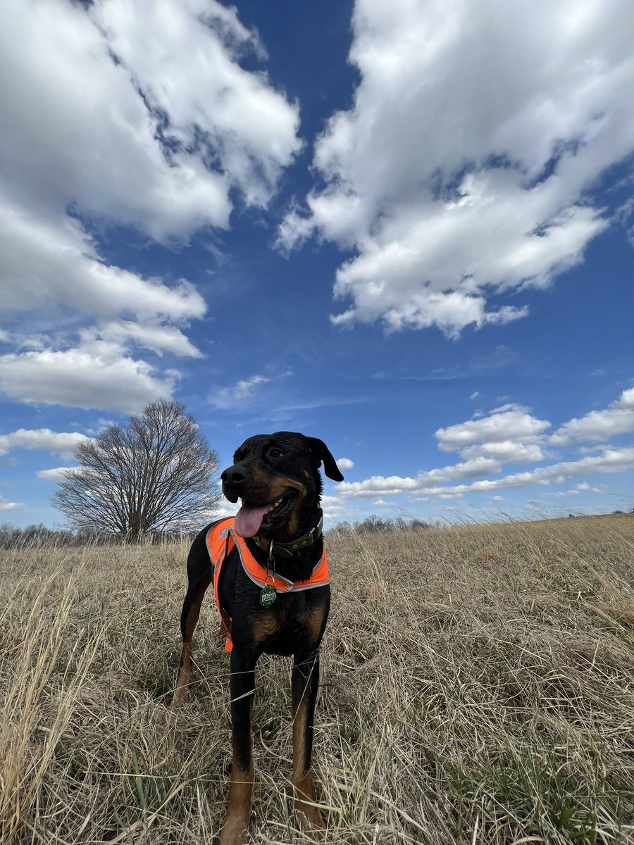 Ruby & Katana tweet media