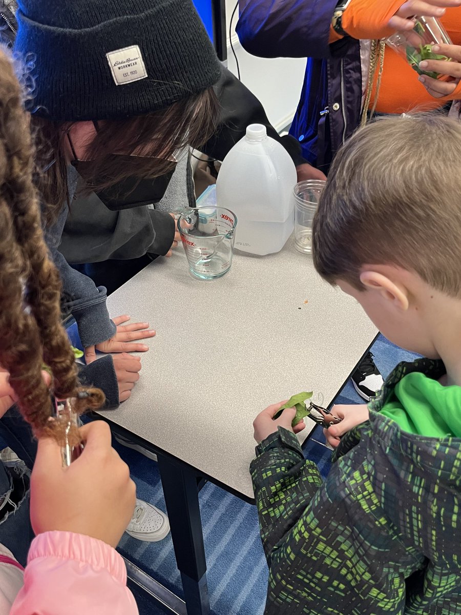 nprj2010's tweet photo. .@LuxfordES So happy to host @BHSMarlins @LandstownEagles @KellamHigh @SalemHSVB ⁦@FrankWCoxHS⁩ @OceanLakesHS Environmental Studies students for the “YESS”program! Our 5th graders are loving this experience! @VBTitleI @vbschools https://t.co/yYERE1QZk3