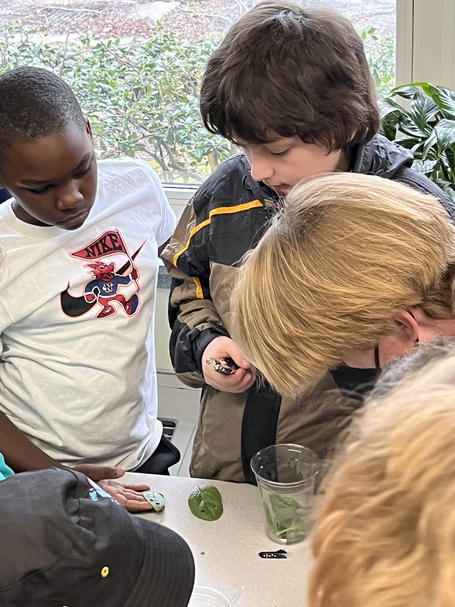 nprj2010's tweet photo. .@LuxfordES So happy to host @BHSMarlins @LandstownEagles @KellamHigh @SalemHSVB ⁦@FrankWCoxHS⁩ @OceanLakesHS Environmental Studies students for the “YESS”program! Our 5th graders are loving this experience! @VBTitleI @vbschools https://t.co/yYERE1QZk3