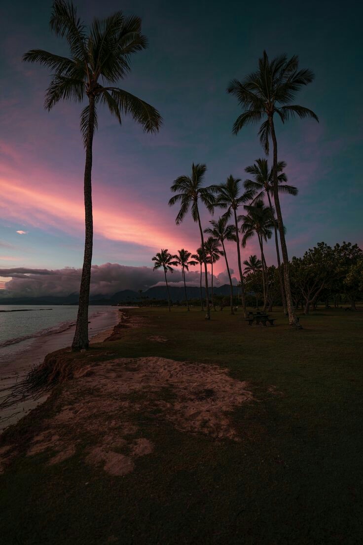 Soul_Art8's tweet photo. Good night 💙💫
#NaturePhotography #naturelovers #NatureBeauty #night https://t.co/47h6b230HH