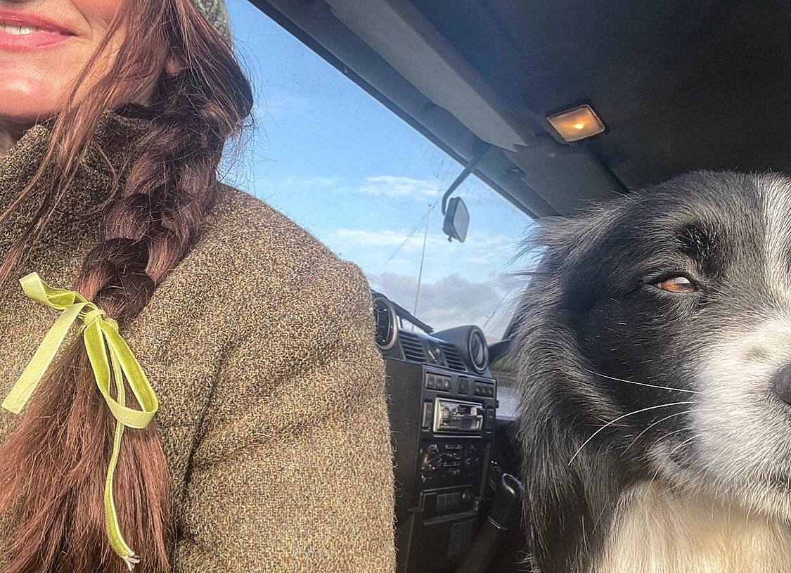 Sometimes we just sit … sun on our faces and watch sheep 🐑 #shepherdess #sheepdog #sheep #simplepleasures #mindfulness