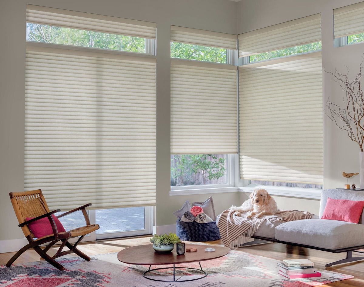 BlindscapesNM's tweet photo. These Hunter Douglas Sonnette® Shades are paw-sitively perfect! This shade is crafted from two layers of fabric that diffuse light. That second layer makes these cellular roller shades energy-efficient. Learn more here: https://t.co/2ZSVdyvD6p #HunterDouglas https://t.co/lxMg8narZO