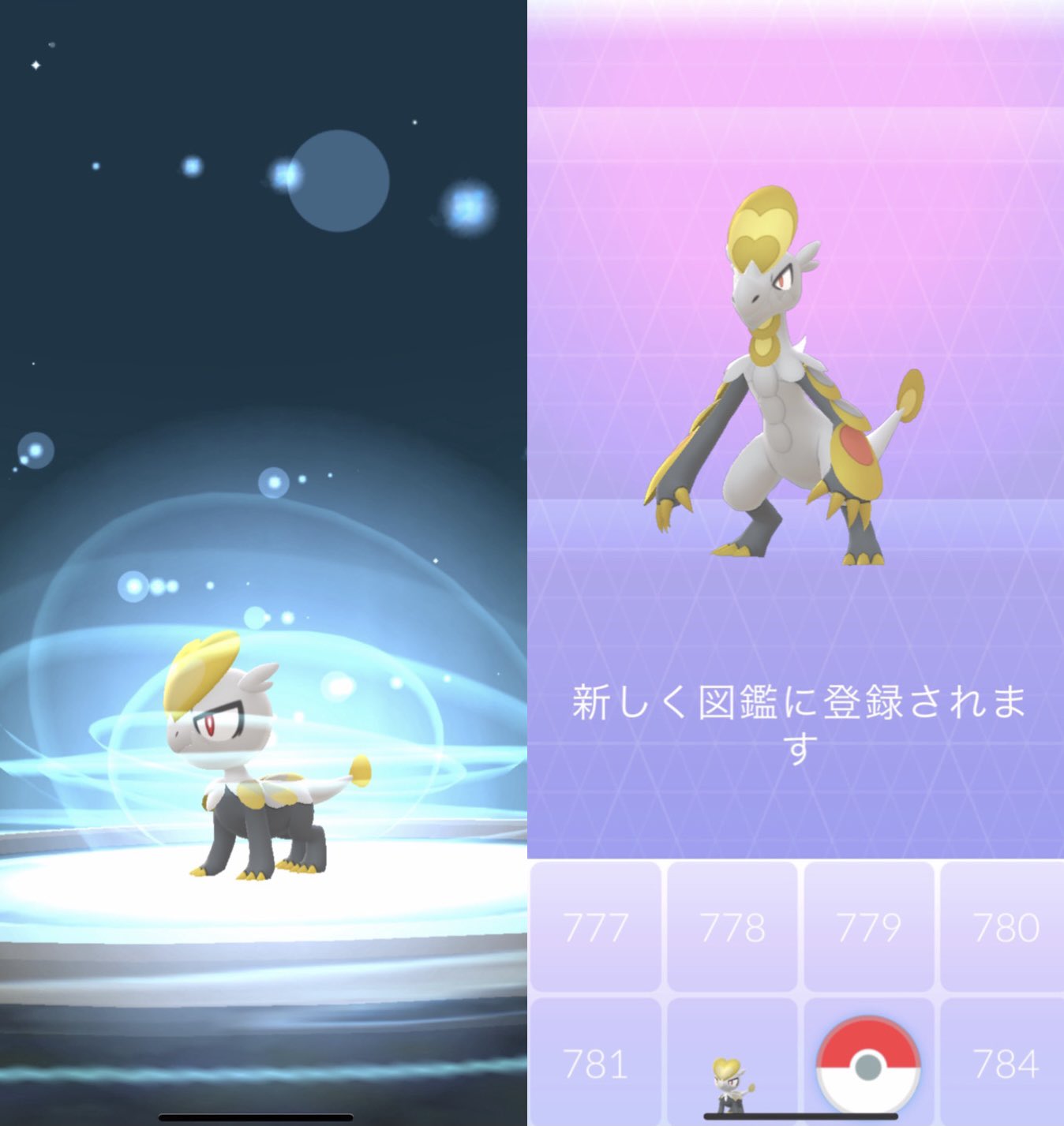 ポップ Pokemon Top Breeder With Y Hirotoshyb3 Twitter